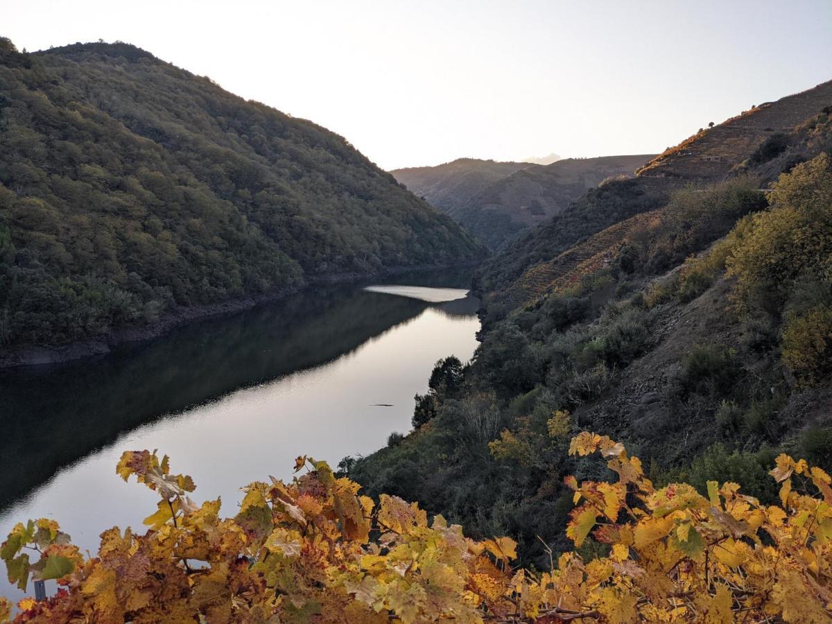 La Casita De La Ribeira Sacra Villa Monforte De Lemos Exterior photo